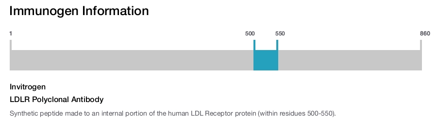 LDLR Polyclonal Antibody