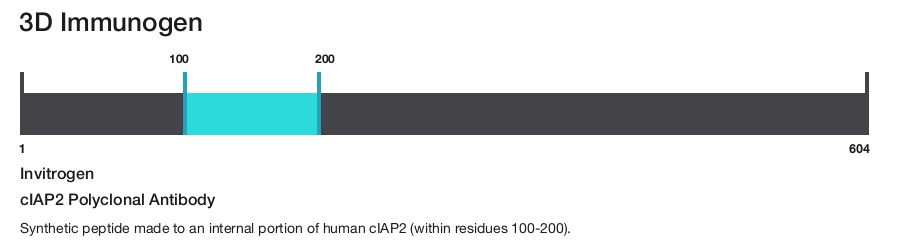 cIAP2 Polyclonal Antibody