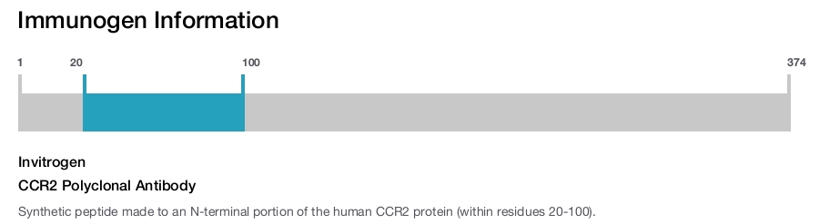 CCR2 Polyclonal Antibody