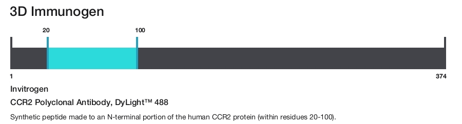CCR2 Polyclonal Antibody, DyLight&trade; 488