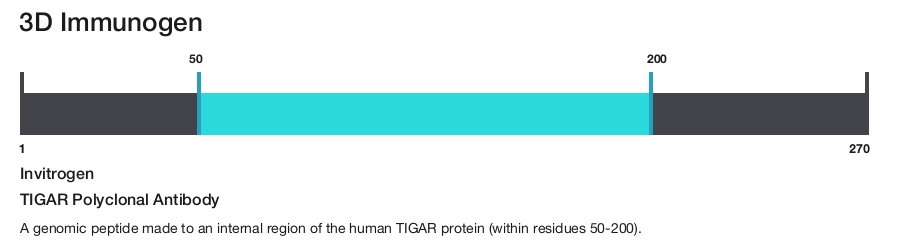 TIGAR Polyclonal Antibody