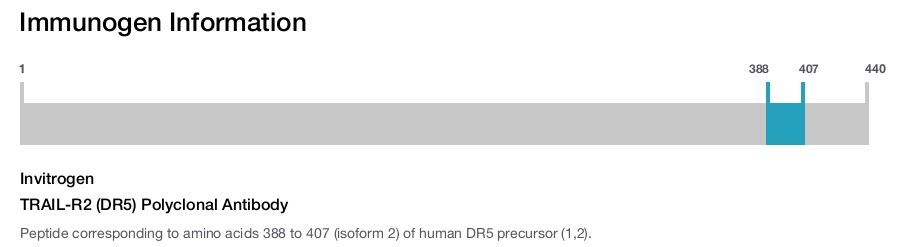 TRAIL-R2 (DR5) Polyclonal Antibody