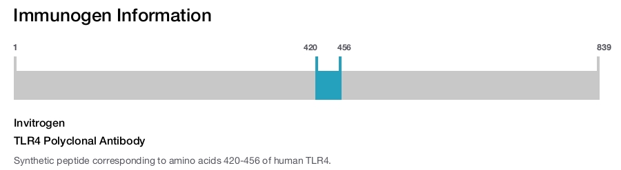 TLR4 Polyclonal Antibody