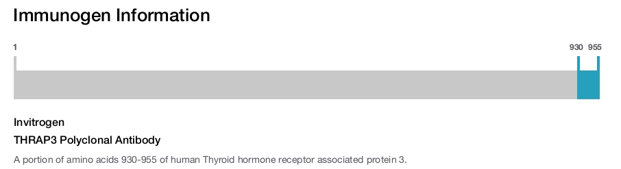 THRAP3 Polyclonal Antibody