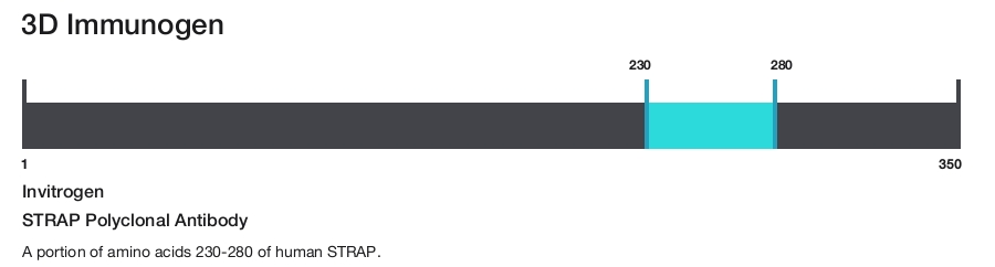 STRAP Polyclonal Antibody