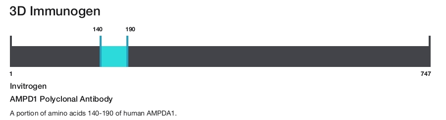 AMPD1 Polyclonal Antibody