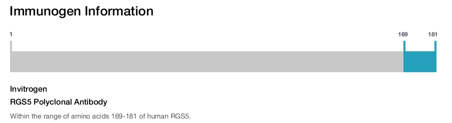 RGS5 Polyclonal Antibody