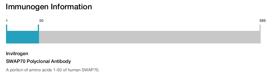 SWAP70 Polyclonal Antibody