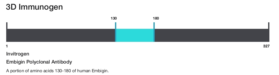 Embigin Polyclonal Antibody