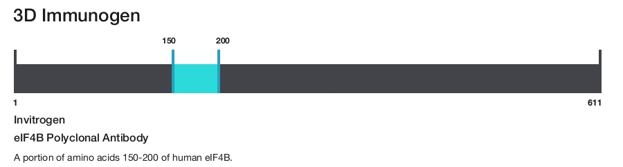 eIF4B Polyclonal Antibody