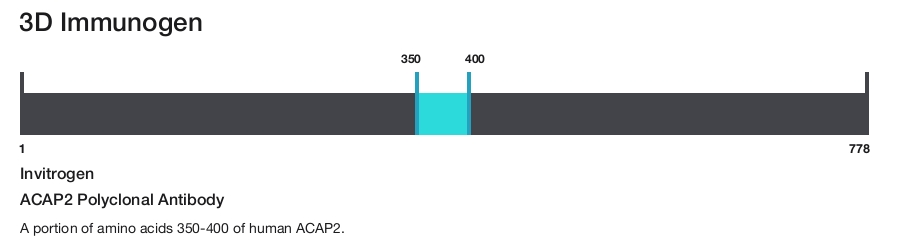 ACAP2 Polyclonal Antibody