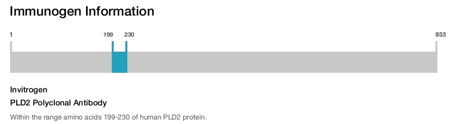 PLD2 Polyclonal Antibody