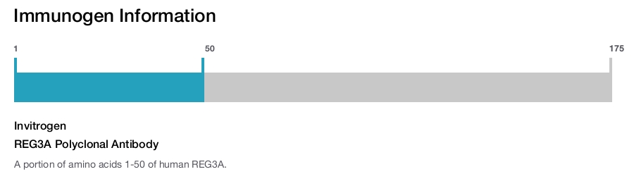 REG3A Polyclonal Antibody