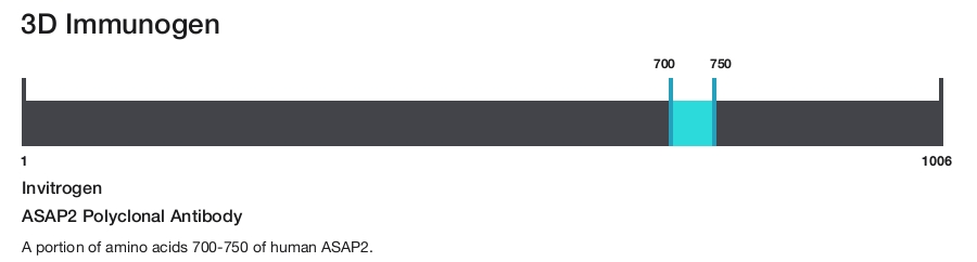 ASAP2 Polyclonal Antibody