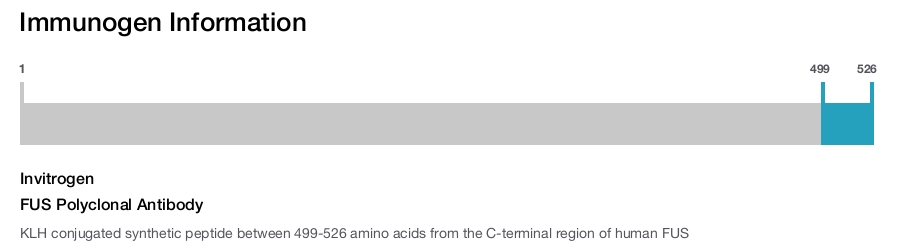 FUS Polyclonal Antibody