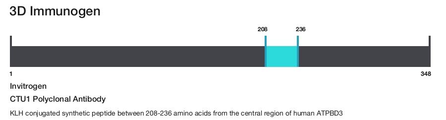CTU1 Polyclonal Antibody