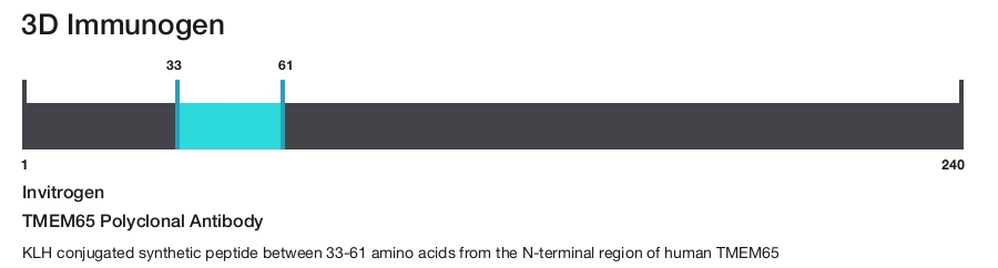 TMEM65 Polyclonal Antibody