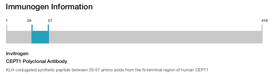 CEPT1 Polyclonal Antibody