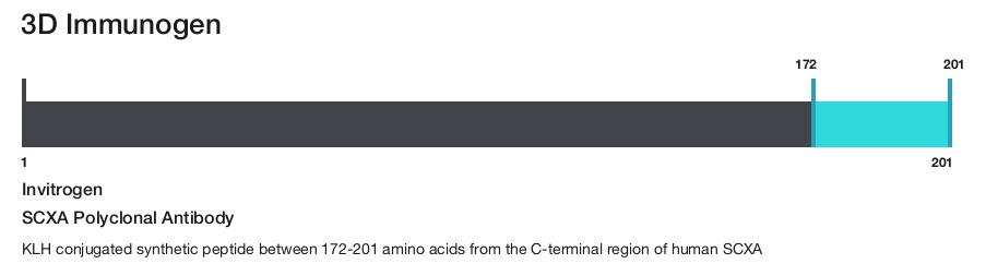 SCXA Polyclonal Antibody