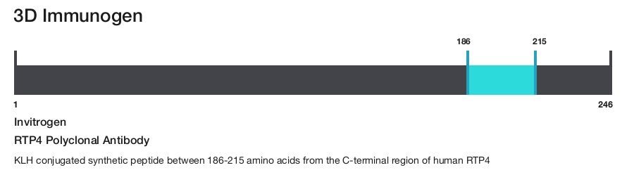 RTP4 Polyclonal Antibody