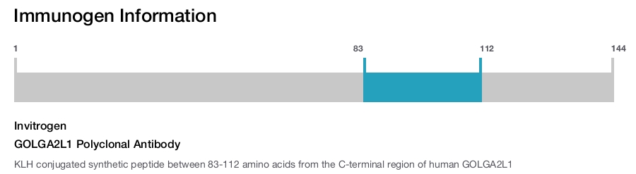 GOLGA2L1 Polyclonal Antibody