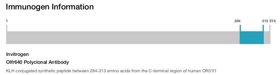 Olfr640 Polyclonal Antibody