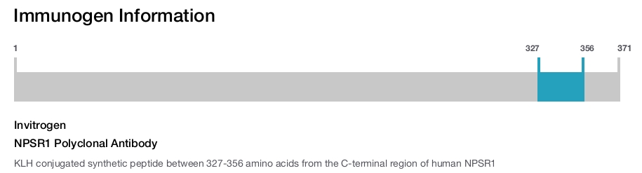 NPSR1 Polyclonal Antibody