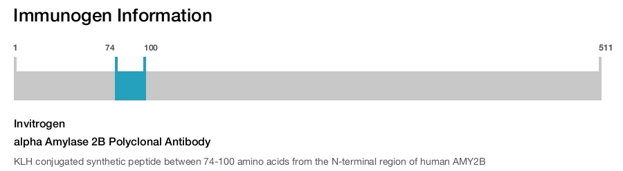 alpha Amylase 2B Polyclonal Antibody