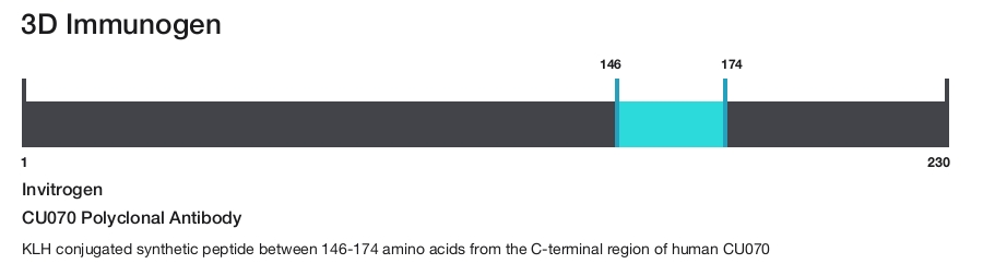 CU070 Polyclonal Antibody