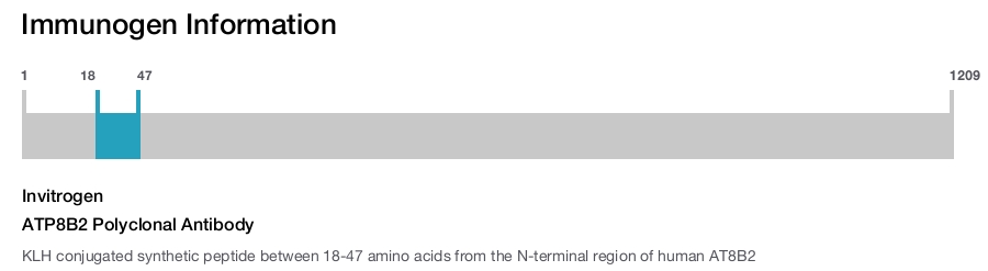 ATP8B2 Polyclonal Antibody