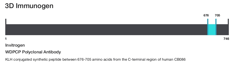 WDPCP Polyclonal Antibody