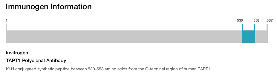 TAPT1 Polyclonal Antibody