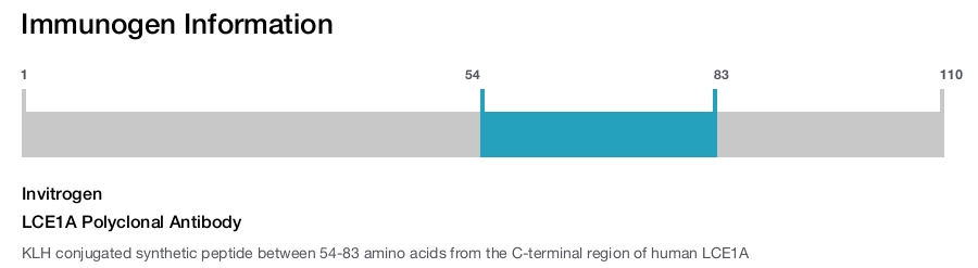 LCE1A Polyclonal Antibody