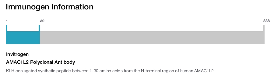 AMAC1L2 Polyclonal Antibody