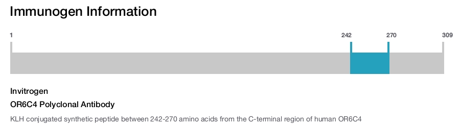 OR6C4 Polyclonal Antibody
