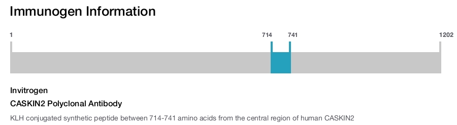 CASKIN2 Polyclonal Antibody