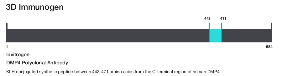 DMP4 Polyclonal Antibody