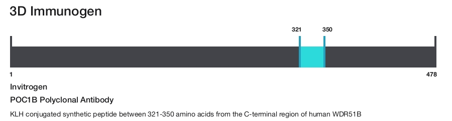 POC1B Polyclonal Antibody