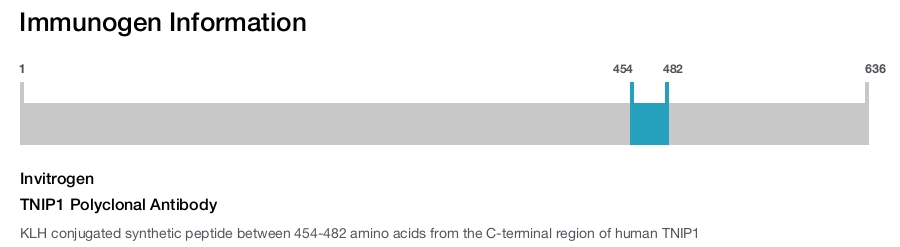 TNIP1 Polyclonal Antibody