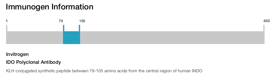 IDO Polyclonal Antibody