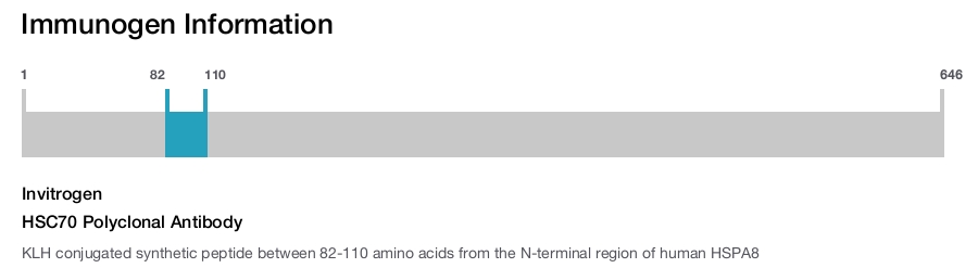 HSC70 Polyclonal Antibody