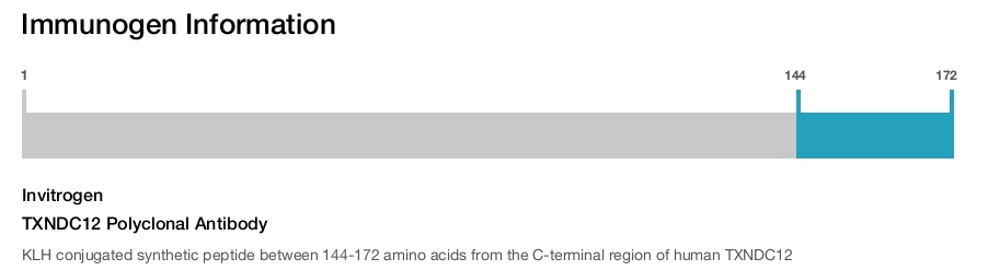 TXNDC12 Polyclonal Antibody