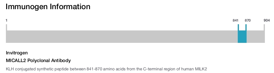 MICALL2 Polyclonal Antibody