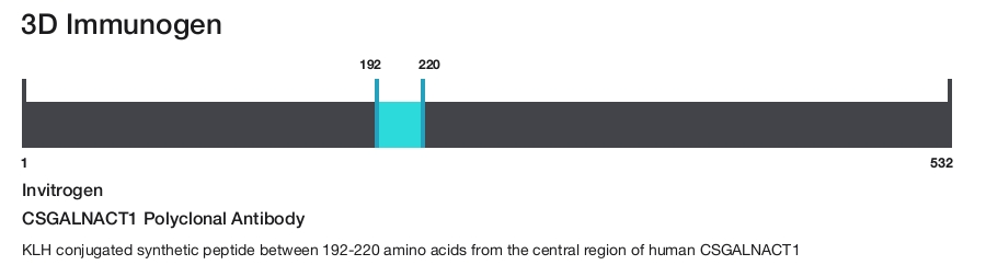 CSGALNACT1 Polyclonal Antibody