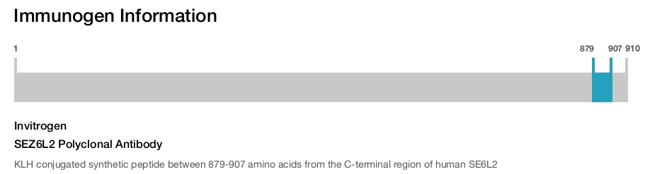 SEZ6L2 Polyclonal Antibody