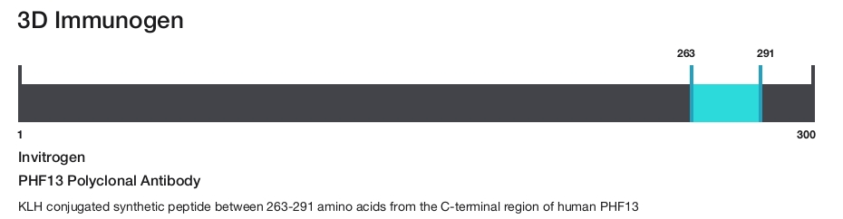 PHF13 Polyclonal Antibody