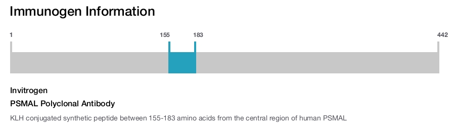 PSMAL Polyclonal Antibody