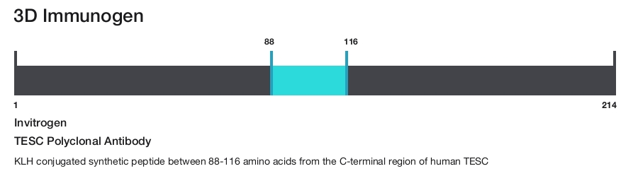 TESC Polyclonal Antibody