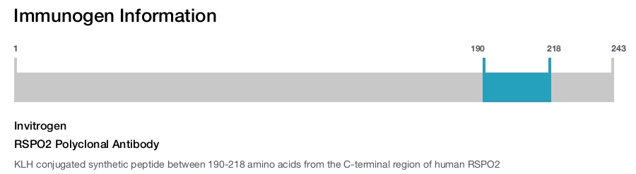 RSPO2 Polyclonal Antibody