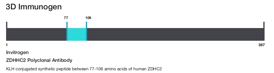ZDHHC2 Polyclonal Antibody